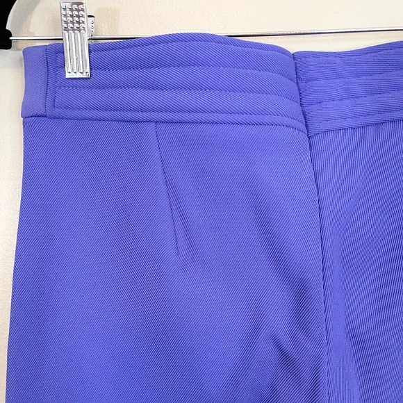 Descente Women's Purple Blue Snow Ski Sportswear Giselle Pants Size 34R
